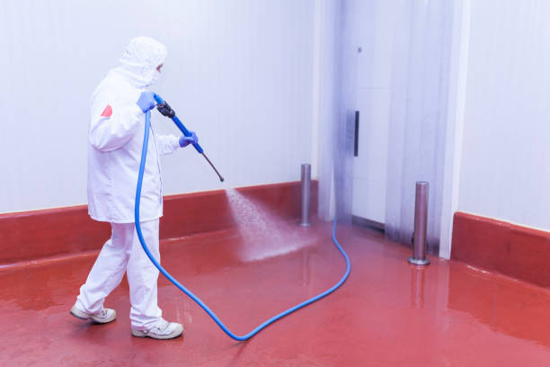 Best Roof Washing  in Manhattan, MT